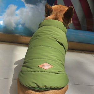 Winter Dog Cotton Coat Size XS-XL