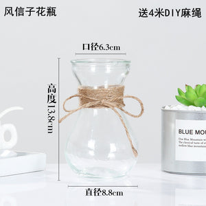DIY Transparent  Bottle Flower Vase with String