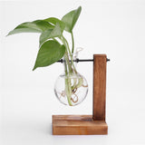 Transparent Glass Vase with Wooden Holder