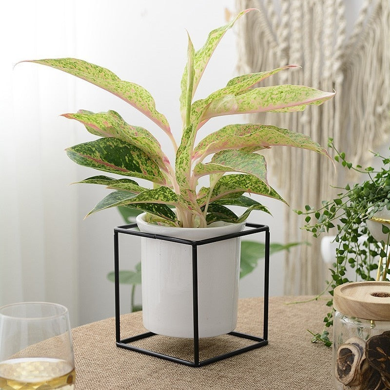 Ceramic Flower Pot with Iron Stand