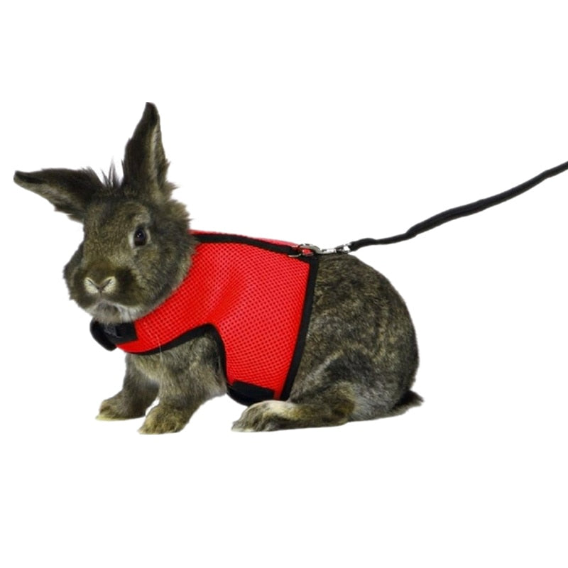 Hamster Rabbit Harness And Leash S/M/L/XL