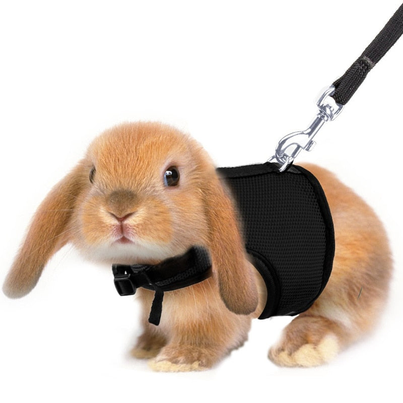 Hamster Rabbit Harness And Leash S/M/L/XL