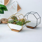 Octagon Iron Wall Hanging Rack with White Ceramic Planter Pot