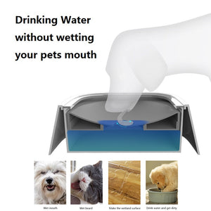 No Spill Dog Bowl Plastic 1.5L