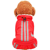 Winter Dog Cotton Coat and Pants Size XS-XL
