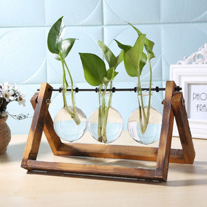 Transparent Glass Vase with Wooden Holder