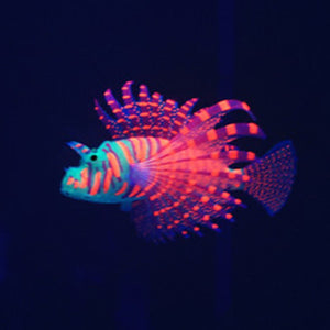 4 Colors Aquarium Fluorescent Glow Simulation Fish